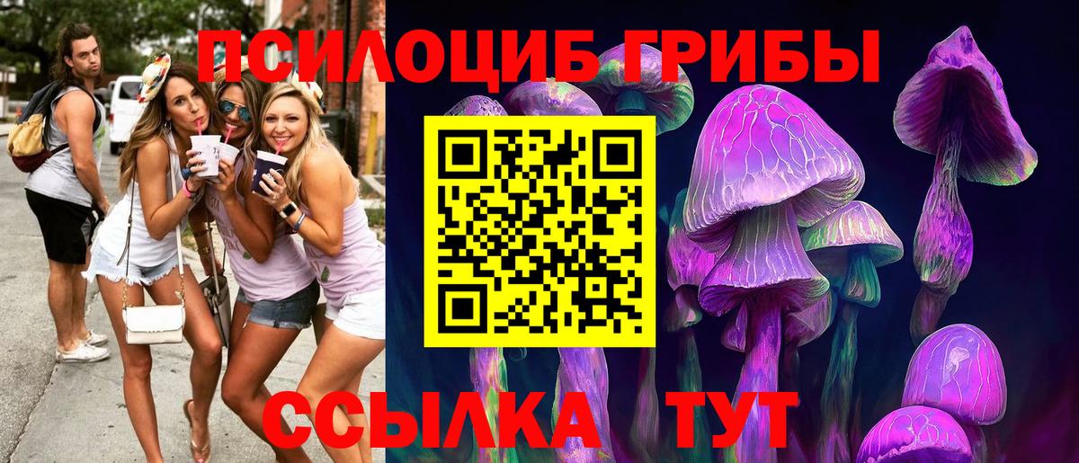 Галлюциногенные грибы GOLDEN TEACHER Дивногорск
